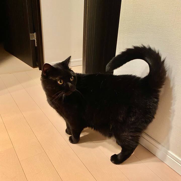 E3b69361 d646 4647 80bc 47f0b811a778 1696510934365