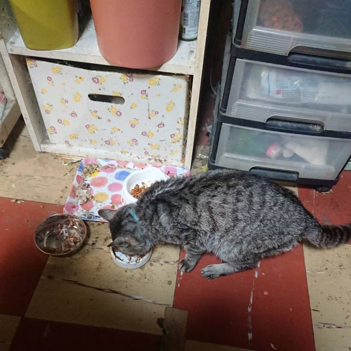 E3b6c950 61cf 4b66 becc 128a0b6f8eb2 1577186155010