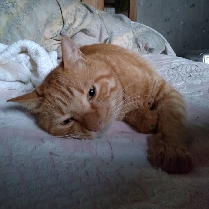 E3b6cc66 06b9 4b40 ad44 297b15ac219b 1723932555650