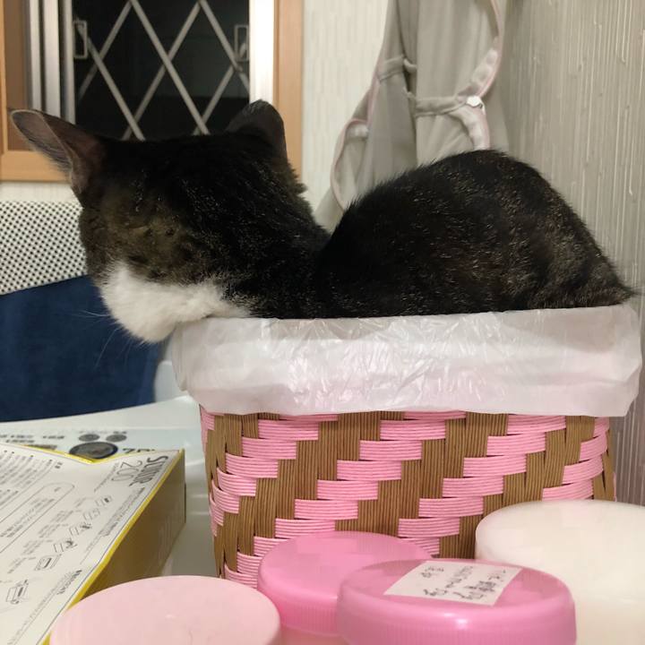 E3b6e799 42de 4b4a b7d0 bc46fc272ae4 1534453064581