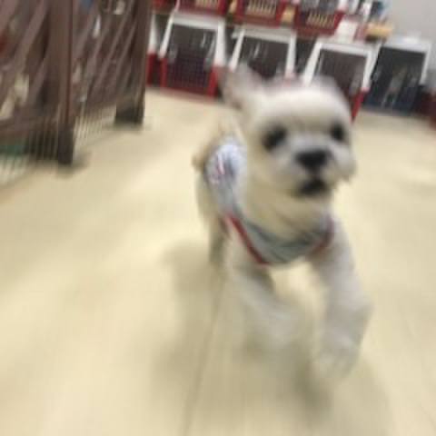 E3b7175a 0cfd 4a93 82c2 e89fa47f3471 1508929608555