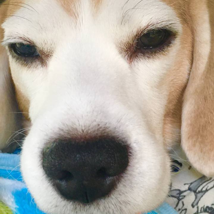 E3b77dda fbaf 4bcb 923b 3922bfd04bc5 1574307429348