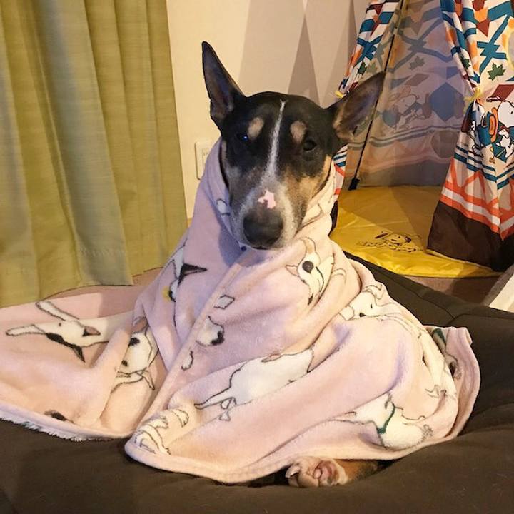 E3b7857d 9da0 490b b97c 900240ca4886 1518613996686