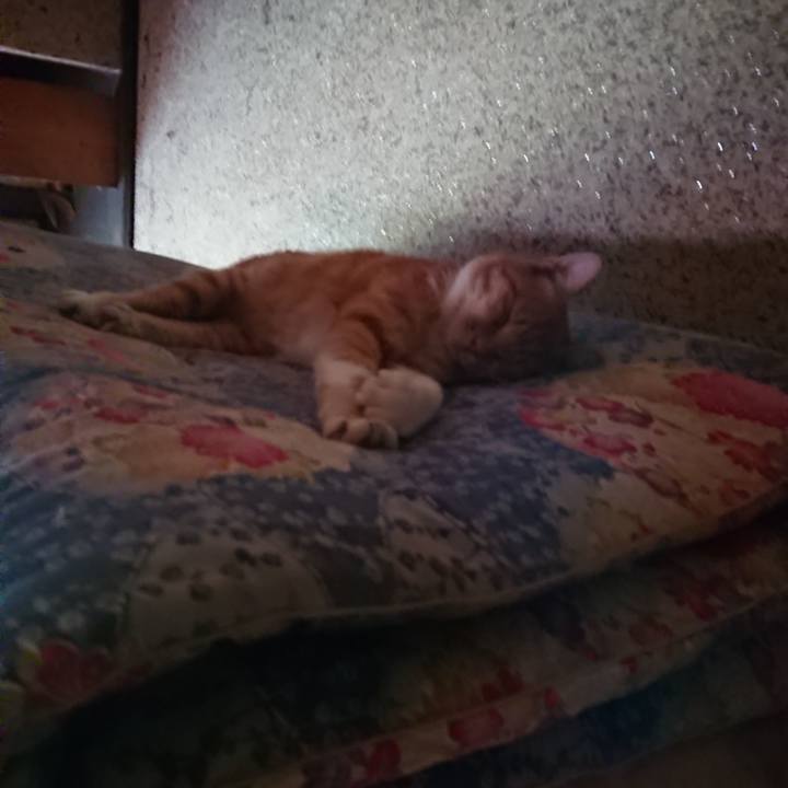 E3b7894d 9e25 42f6 8b0f 38f9f3ad3a35 1598170026247