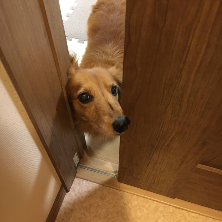 E3b79d0f 68c1 4f9e 9dbe 23caf40386ed 1570630609203