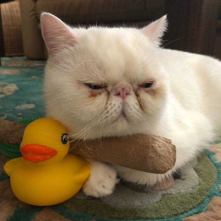 E3b79f8f 4596 43b9 80c8 35ff1e2750d4 1633147375434