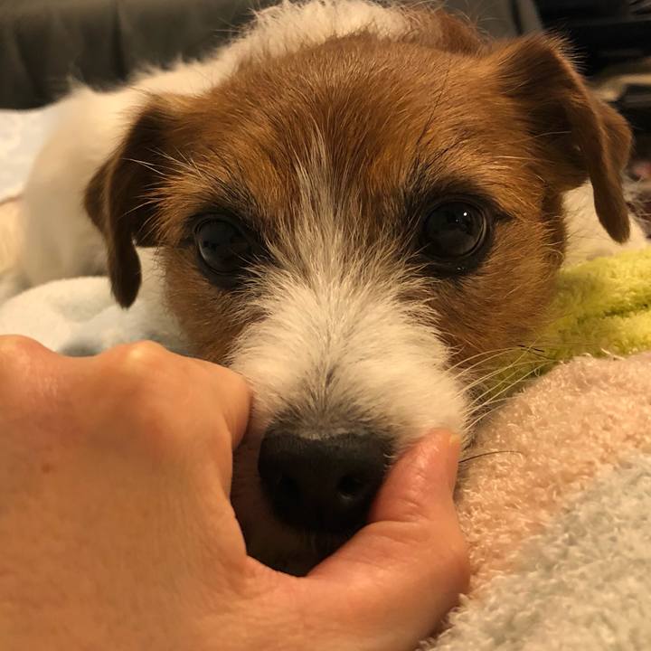 E3b7d815 0aa3 4d93 b5da a0d397f7dcc5 1586005782397