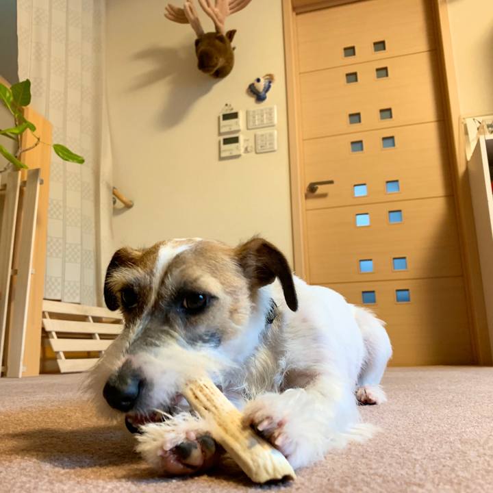 E3b7e48a 289c 4aef 8fa1 01bee11b84aa 1581556456042