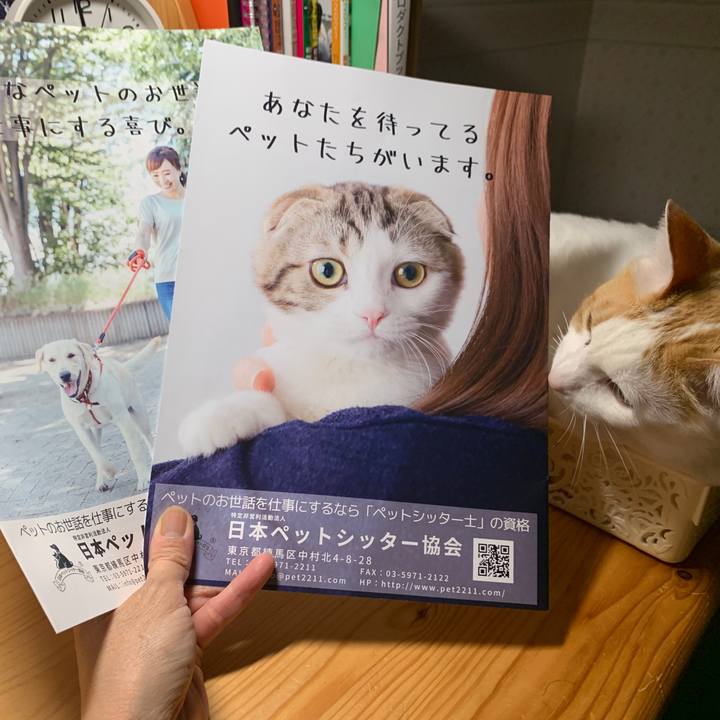 E3b7e6c9 9aa9 4a86 afd4 82a48a94f499 1653213458399