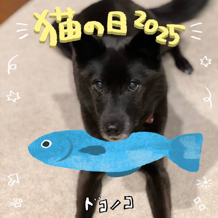 E3b81b28 f14e 497a 909c 0193d39d7a0f 1740185585894