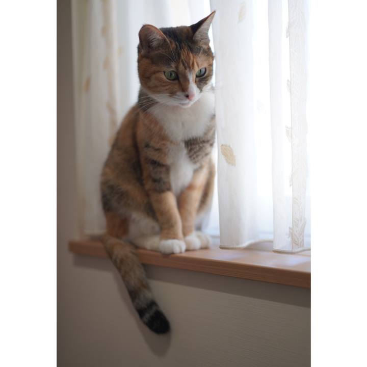 E3b82d17 5aec 4c85 9603 a639b74c7519 1636255987354