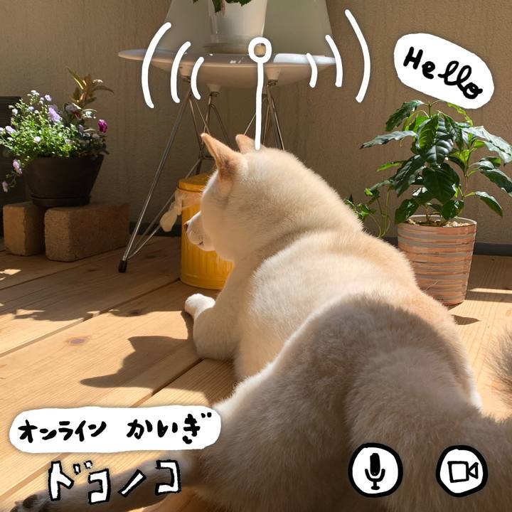 E3b8b39c db3f 4df6 8fec fc93af8c8a03 1590757760235