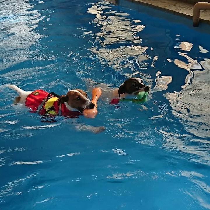 E3b90b52 72bd 433b a39c 9832d5c61807 1535617065886