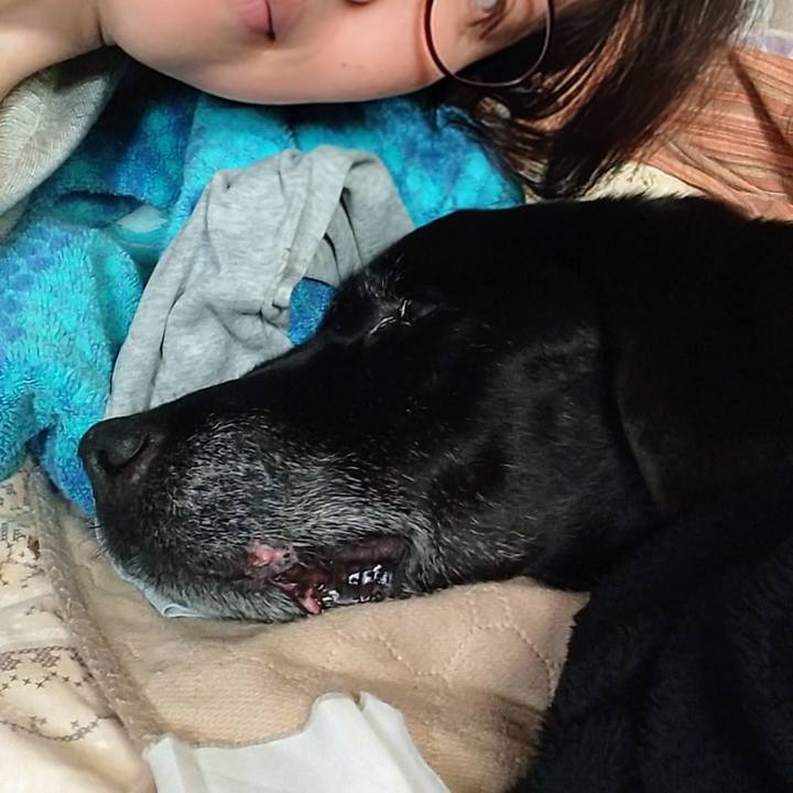 E3b92f23 eb89 434f 86c1 f1a014978346 1730959052137