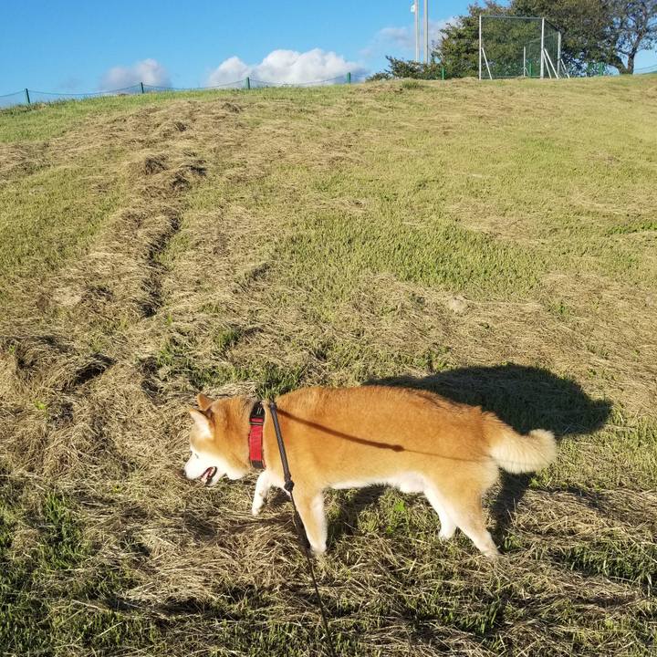 E3b99991 9977 47aa 861f 63f2e999706c 1728457711581