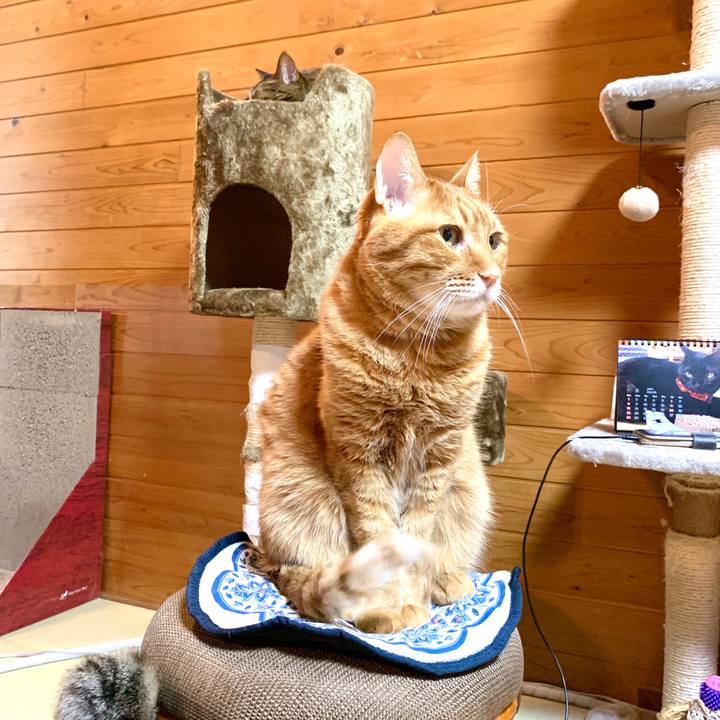 E3b9c924 4429 4841 8bea 154ca3755791 1584628185069