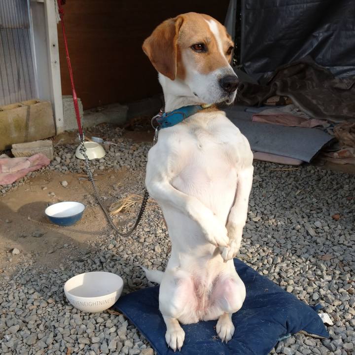 E3b9e371 c195 481f 8a86 30212f3e4682 1613119813931