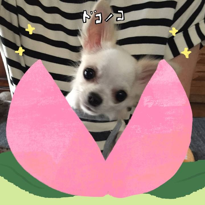 E3b9f71a 0460 4667 9ad1 ff3611e9913a 1772246462701