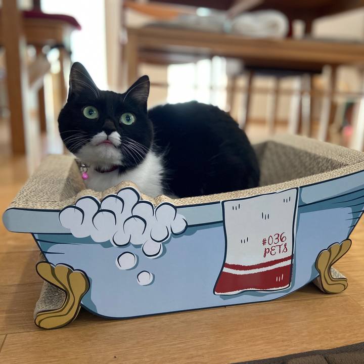 E3ba4fa4 a8f6 4347 b4e5 733c01d4c34d 1611578610267