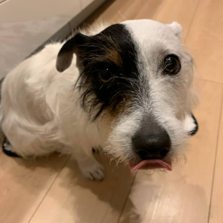 E3ba6533 7dd0 419b aaf5 ed7f99bb1552 1590229092551