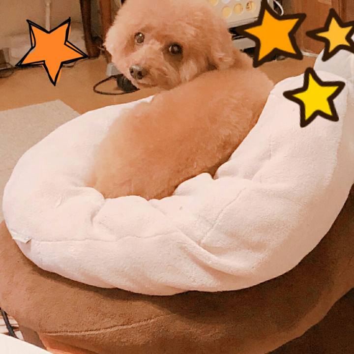 E3babbeb e5f2 44a2 a630 a48e9caec12b 1516181294887