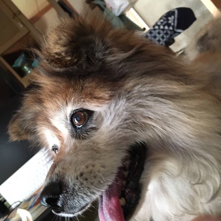 E3bb5689 ba1e 454e ac87 30b4603fe7b9 1601572387296