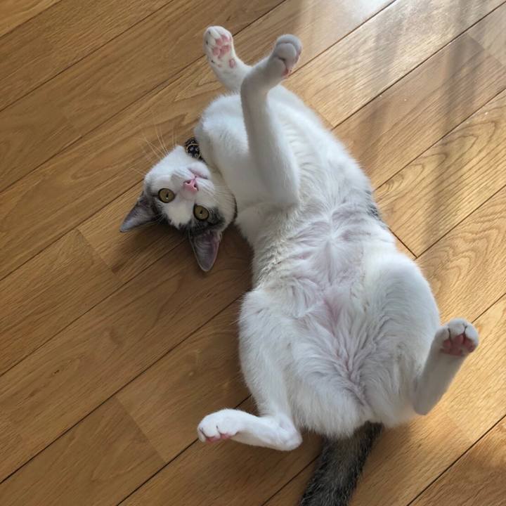 E3bb60b0 0eaa 409e ab55 f92ba92331d1 1580723730727