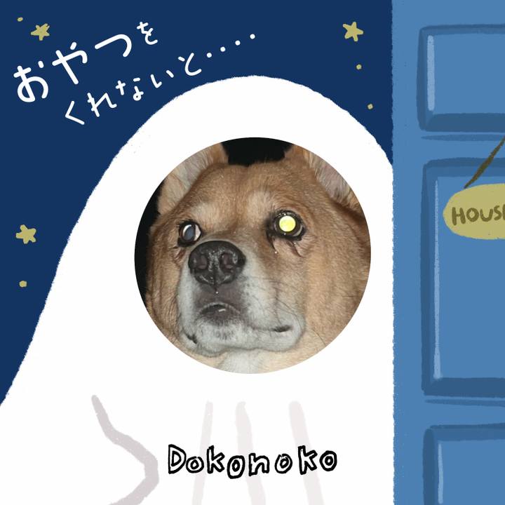 E3bb8bf6 002f 4842 9956 3bfcba08f9bb 1730342712805