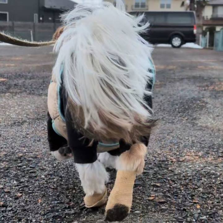 E3bb9728 460b 411b bd59 fac6ef9151d6 1769995029184