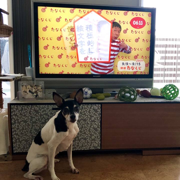 E3bbca4f 36b2 4bd7 a3cd d9cff0ccd295 1567996899276