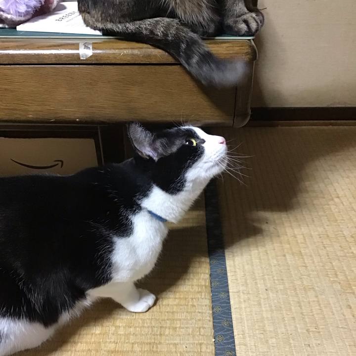 E3bbfeb1 a9a1 4126 84ac 9790386a4c9b 1710586456395