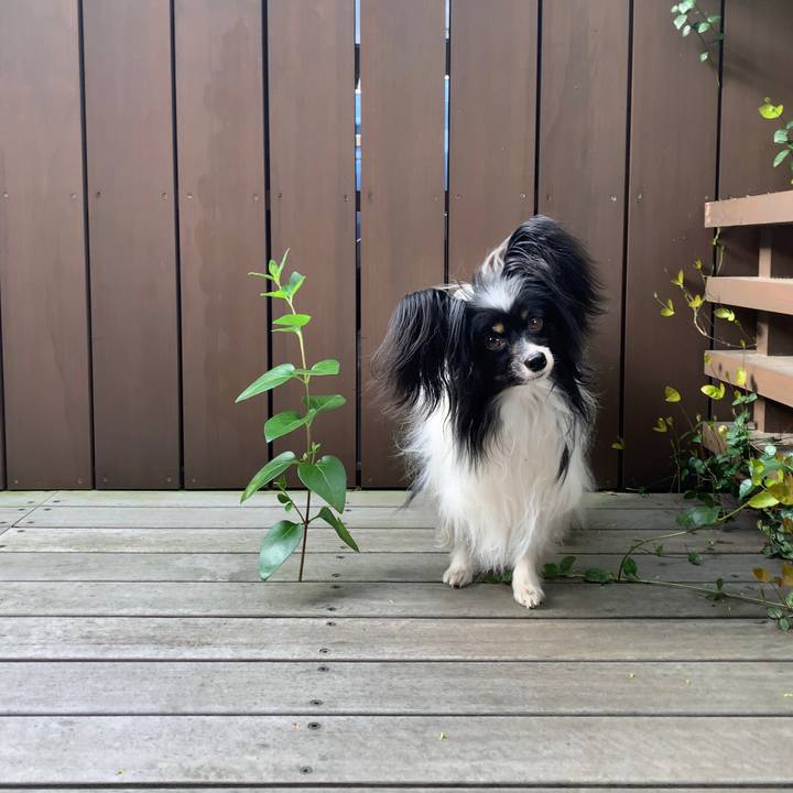 E3bc1aeb e248 450b 8d6c 38271273ac8b 1587990068041