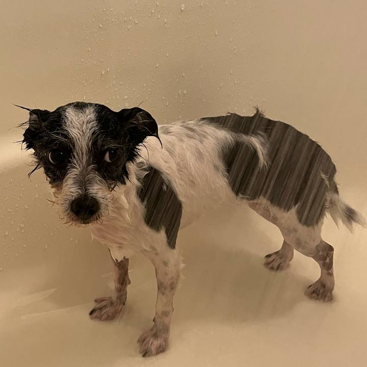 E3bc2e14 6b4e 4f87 b161 8d8814f47581 1727581064702