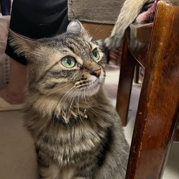 E3bc3a7e 5419 488d bcff 00613cdaa97b 1756457001857