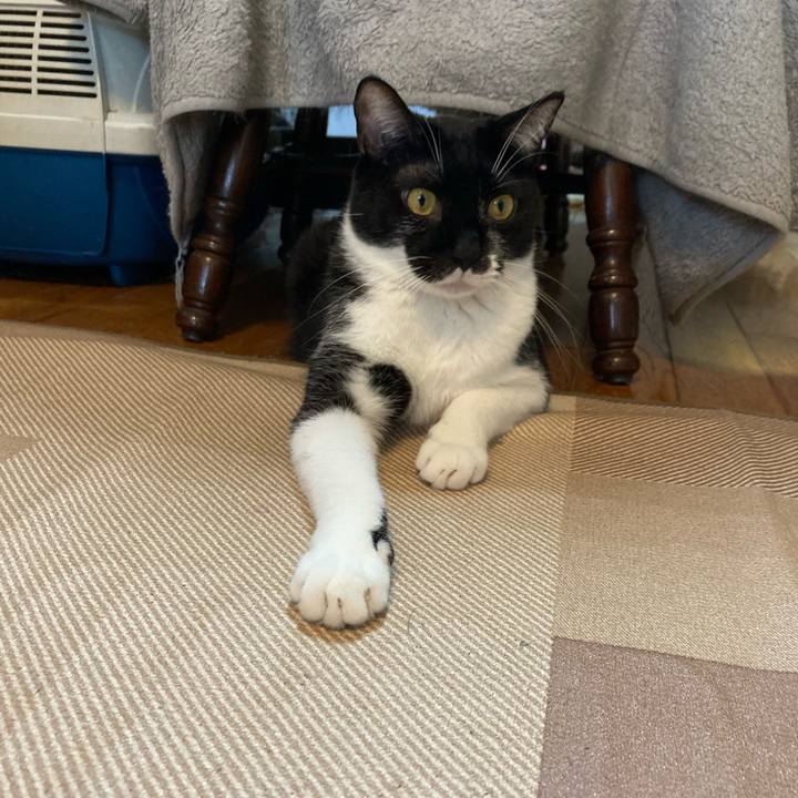 E3bc74ce 59c8 4659 ad07 427fdc85283a 1722123665967