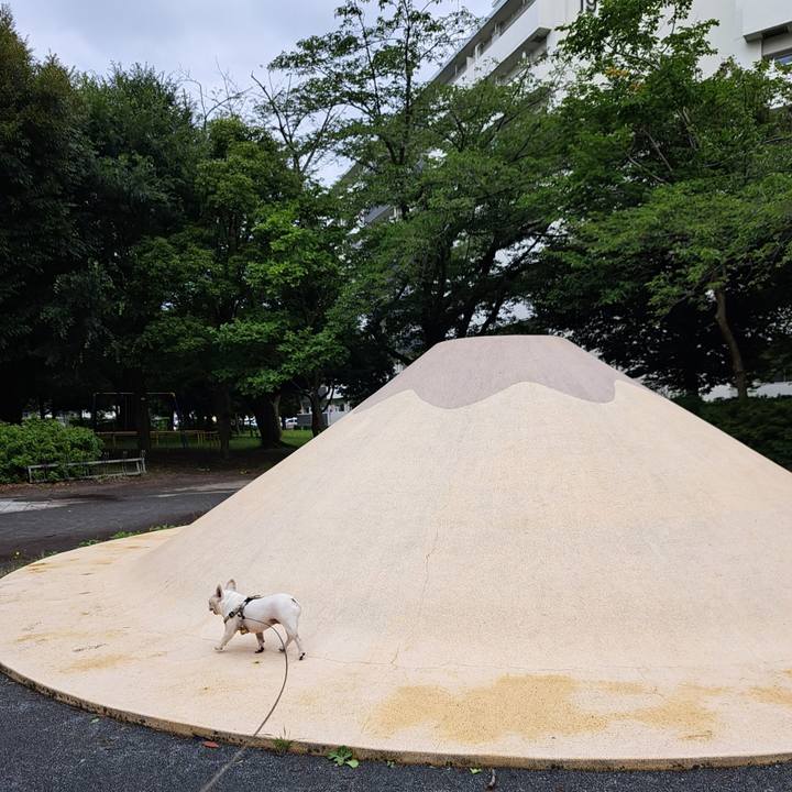 E3bcaae9 83b4 447c 9788 5a69ba87308d 1719976578970