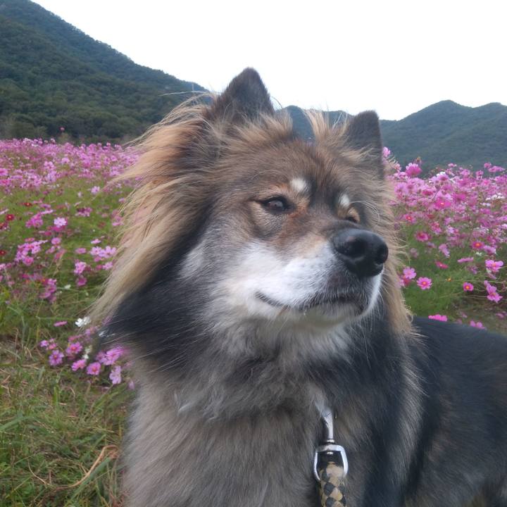 E3bcb56d a9f1 4419 84e6 ae8d785af580 1603885530494