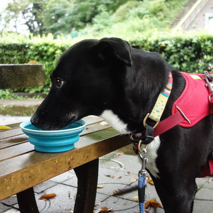 E3bcc4fe 6587 4cf2 bcf8 49a5b630bf6a 1630800215446