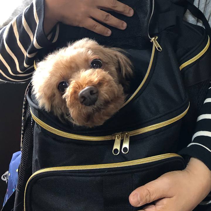 E3bccda0 13f2 4c94 937b b501475a6243 1603260624446