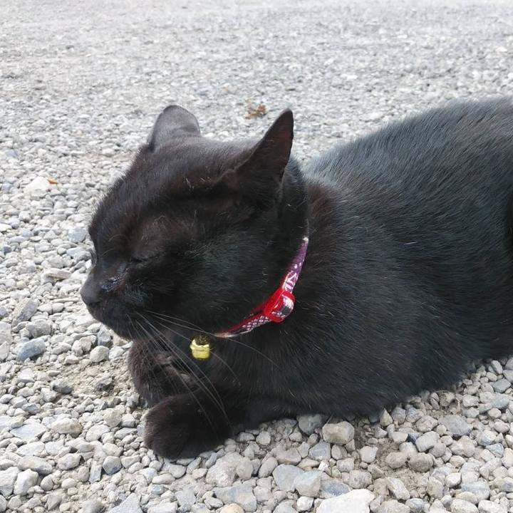 E3bd0f59 bf0f 40b0 848d 895c19619b1f 1601945737722