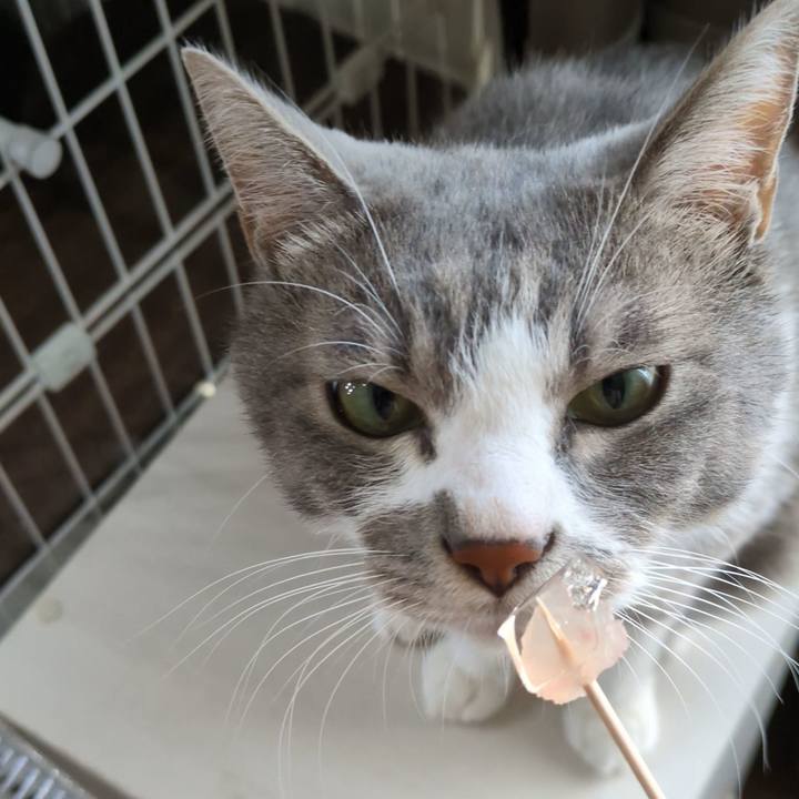 E3bd21e2 0743 4c9d 8964 3a86cbe29dd7 1756623919813