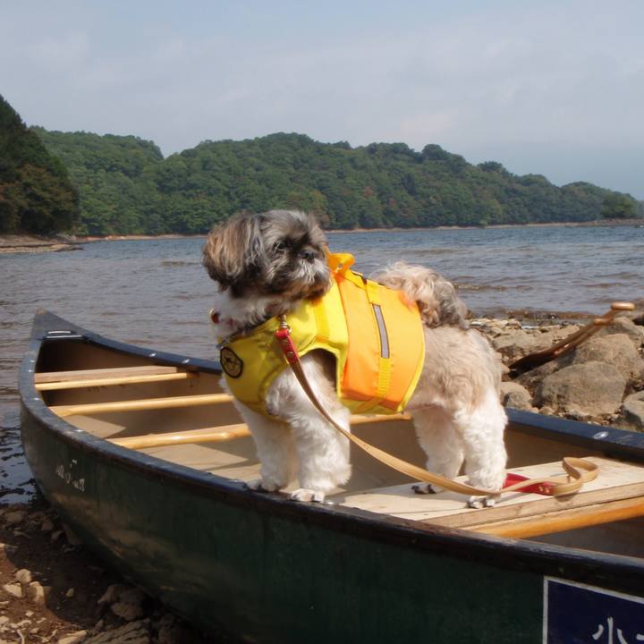 E3bd4d63 d371 4773 80bc 5f1653360477 1623073412210