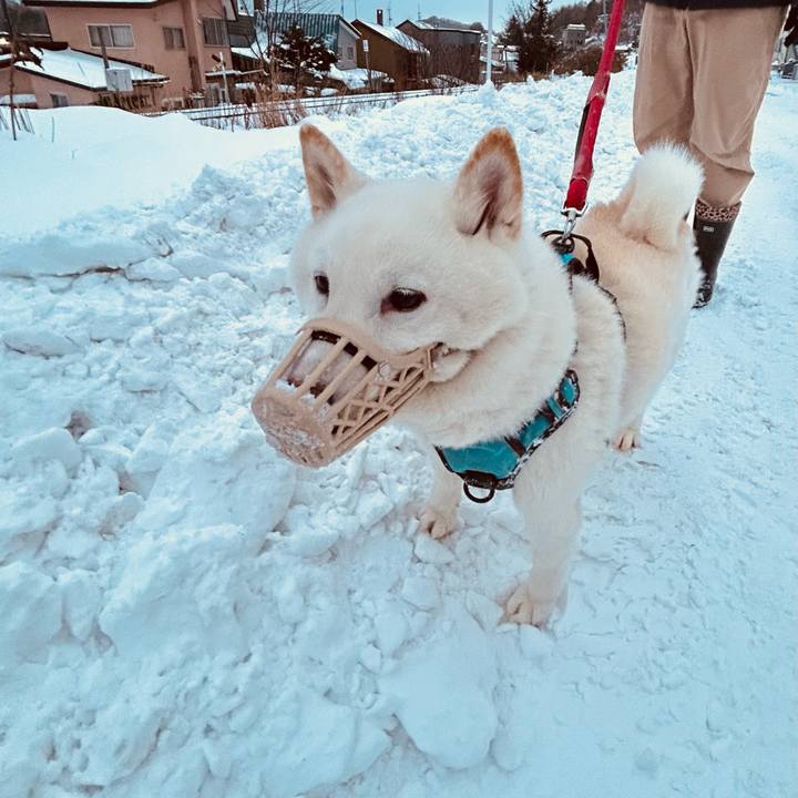 E3bd5ae9 5cd2 45d6 a44b 10c391c0cccd 1733696416911