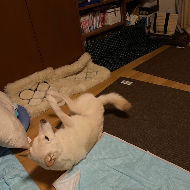 E3bd6829 1e6c 41b3 851a af82afce3c97 1665248911155