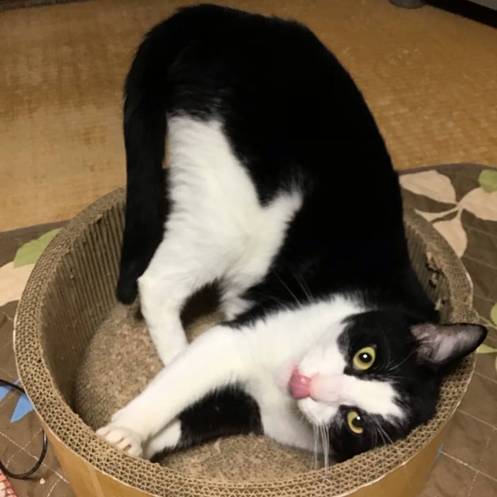 E3bd6d05 fc0a 4def b1b4 b28066ac8664 1762672275770