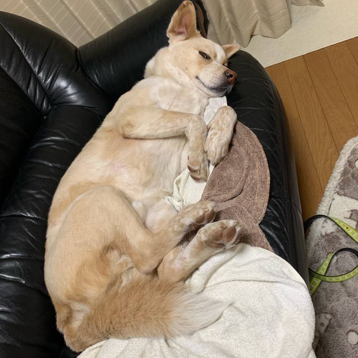 E3bd9eb3 6cbc 42da a3b1 663c3d3b6889 1555252203743