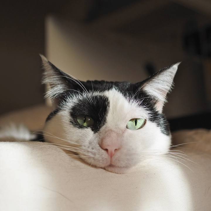 E3bdb547 6127 4c5a 88bd f54defcf3a1e 1636877245448