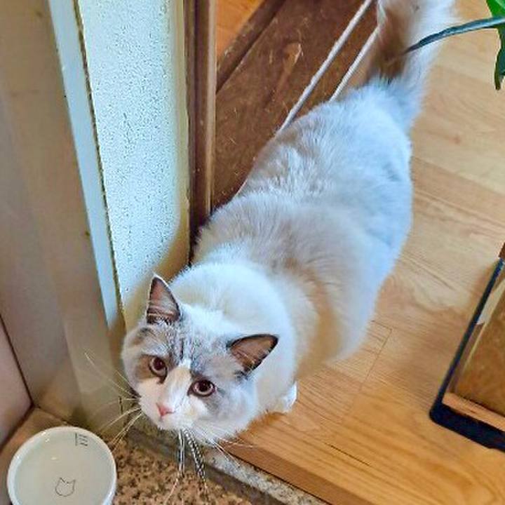 E3bddd47 5188 491b bf66 f264630d2f03 1607173853975