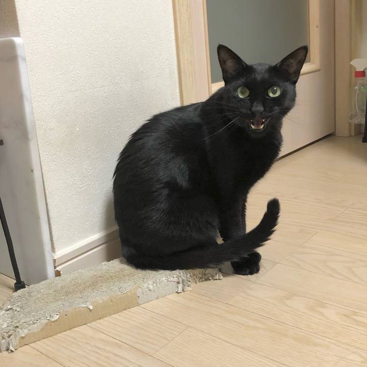 E3bde5a8 7ef1 4b74 a3aa f4696590e1df 1629988838439