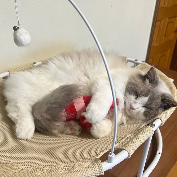 E3be10f9 9a8d 4a79 a890 38fd9c733427 1686875891354